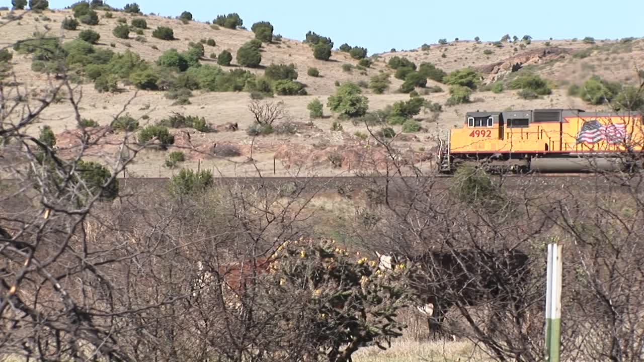 사막의 목초지를 통과하는 기차의 롱샷