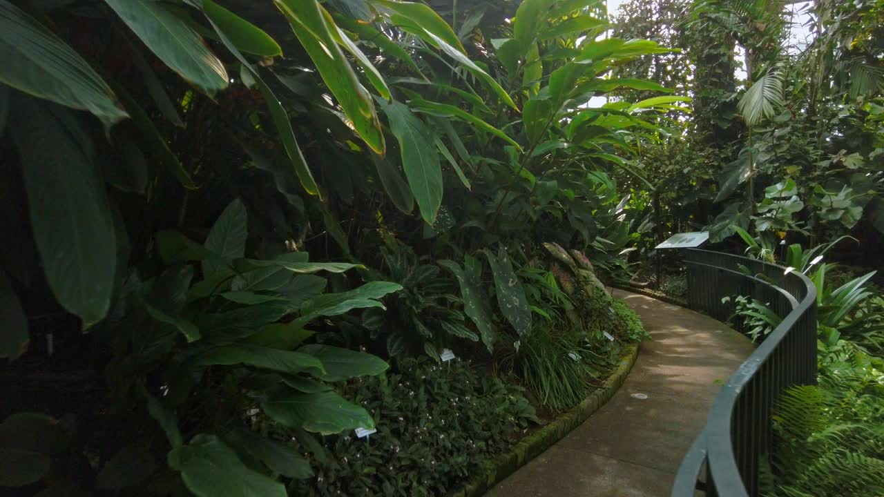 Visitor walks along a path inside the lush rainforest exhibit at Tropicarium Bogotá