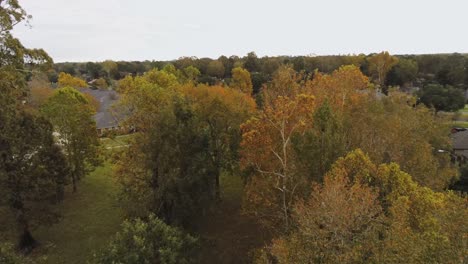 4K-Enthüllung-Der-Nachbarschaft-In-Der-Herbstsaison