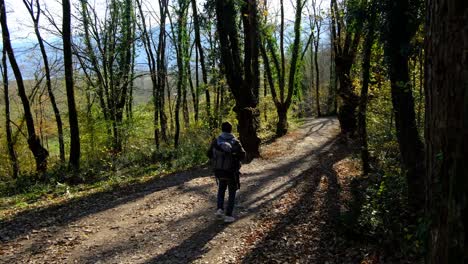 hombre caminando por el bosque