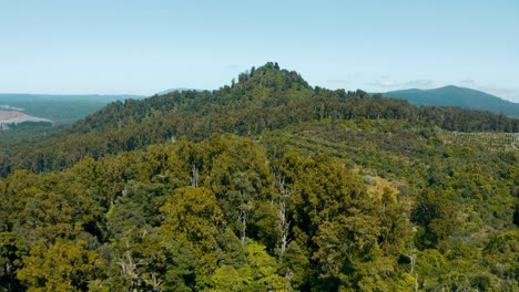 Native-indigenous-lush-green-New-Zealand-bush-on-hill-during-sunny-day,-aerial