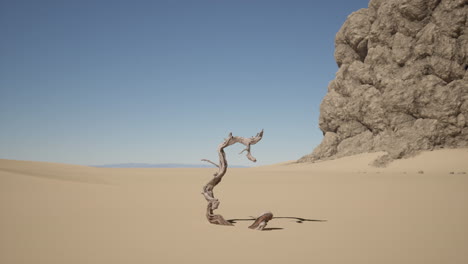 lonely dead tree in a desert landscape