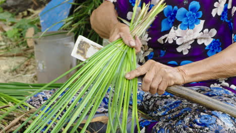 artesano corta cuidadosamente materiales naturales en pedazos más pequeños, permitiéndoles tomar el sol cálido y convertirse en componentes esenciales de colchones tradicionales hechos a mano en quang nam, vietnam