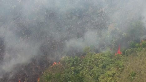 escena de un gran incendio en la vegetación de la montaña en un día de viento