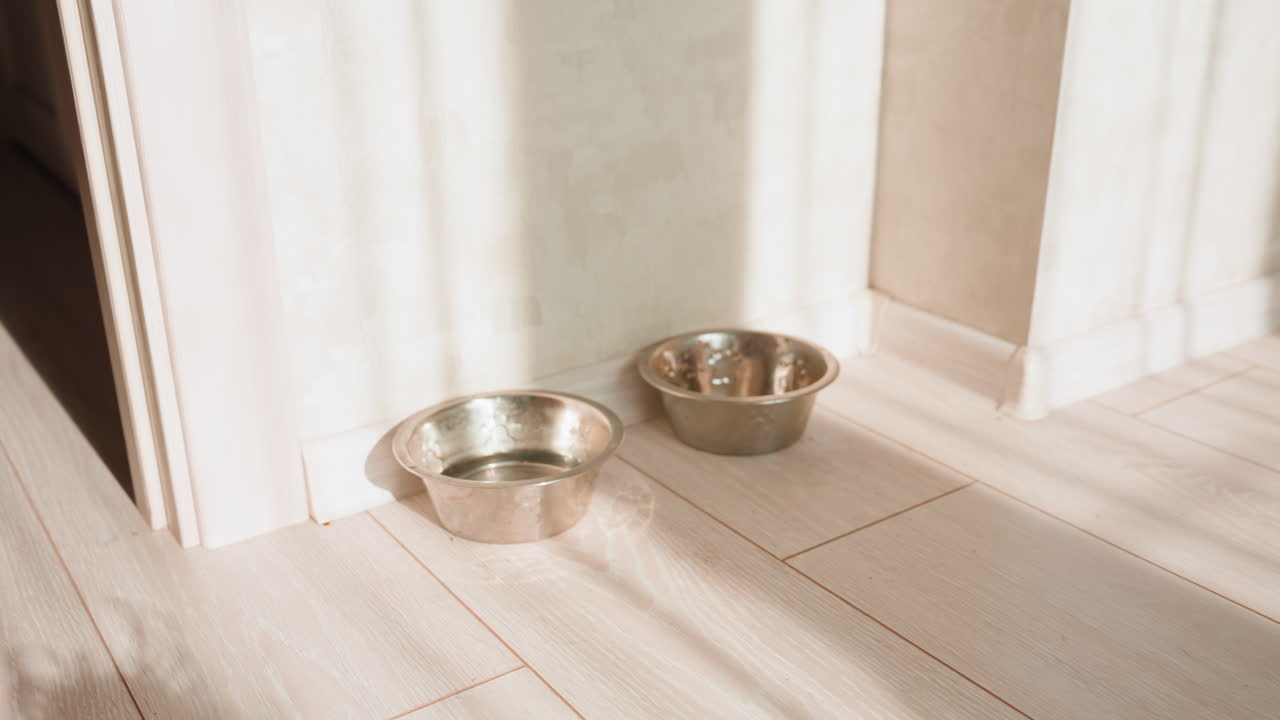 Sunlit Kitchen Floor With Two Metal Bowls Casting Long Shadows, Empty Water And Food Dishes Wait By Doorway As Small Dog Sniffs Edge Of Frame, Warm Morning Glow, Calm Domestic Atmosphere, Hardwood
