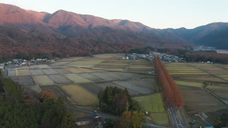 rice fields of rural shiga, japan