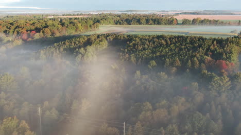 Una-Niebla-Se-Eleva-Por-Encima-De-Las-Copas-De-Los-árboles-En-El-Campo