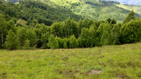 flying the drone over the forest in the mountains