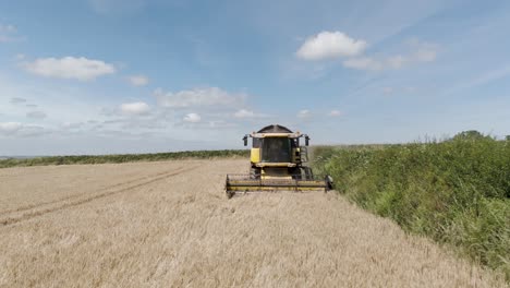 aerial tracking shot of a combine harvester efficiently harvesting a barley field as it moves toward the camera, capturing the dynamics of the harvesting process