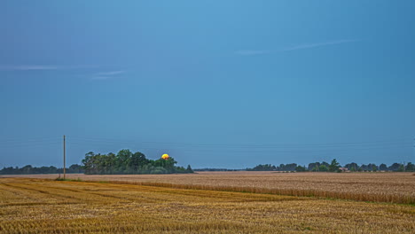 Full-moon-descending-on-horizon-over-wheat-fields-in-the-summer-morning