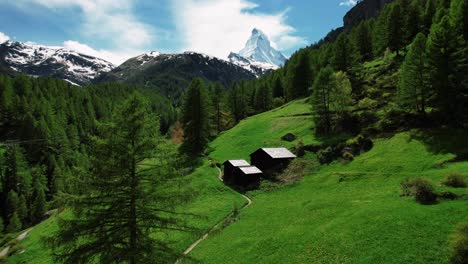 drone de 4k volando cerca de árboles verdes y exuberantes hacia la nieve cubierta de la montaña matterhorn en zermatt, suiza