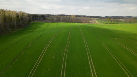 poland agriculture - aerial drone descending over green fields with tractor rut traces from a high point, pieszkowo