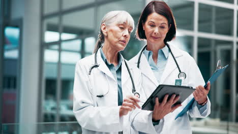 two female doctors discussing patient care