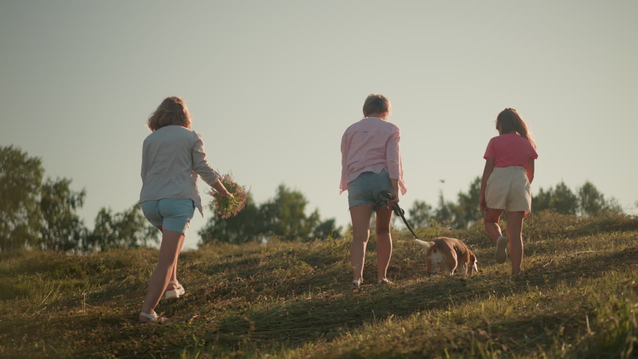해가 지는 동안 언덕의 농지를 등반하는 가족, 두 여성과 아이가 개와 함께 자연을 즐기고, 꽃을 들고, 평온한 시골, 건강한 운동 및 결합 시간을 높이 평가합니다.