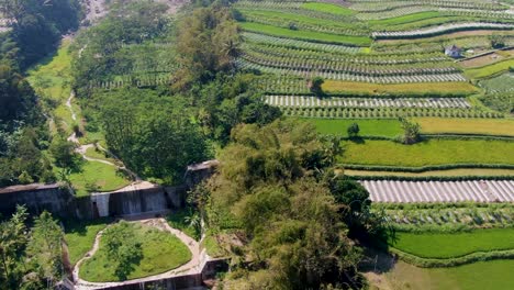 aerial panorama of rural landscape reveal suspension jokowi bridge java