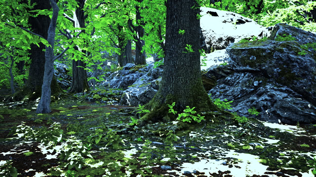 마법의 숲: 3d 렌더링 된 모스 바위와 울창한 녹색 나무의 풍경