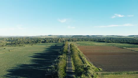 aerial of tree line with tar road in the middle with green trees and green field