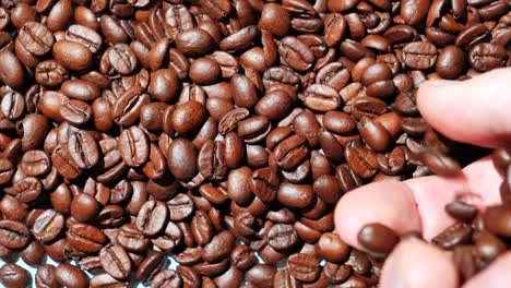 Nahaufnahme-Einer-Hand,-Die-Die-Kaffeebohnen-Gleichmäßig-über-Eine-Fläche-Verteilt