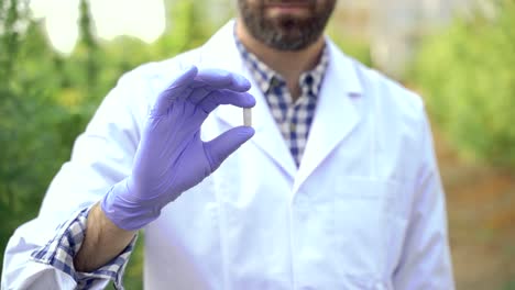 focused scientist showing cannabis pill