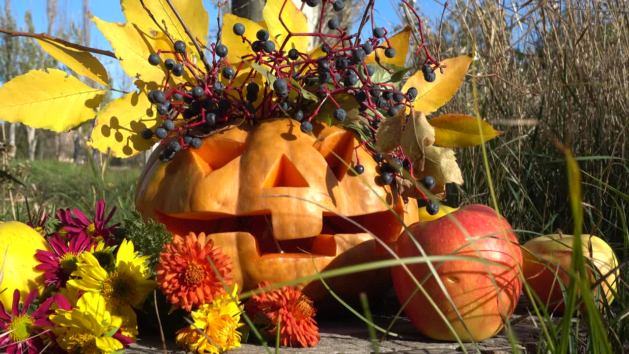 Calabaza de Halloween espeluznante. El monstruo se sienta en un tocón de árbol. Sesión en octubre.