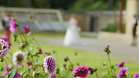 Bride in white dress walks past blooming flowers, shallow depth of field, natural daylight