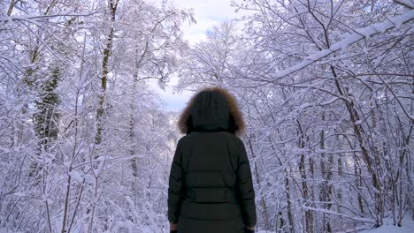 mujer con ropa de invierno paseando por el bosque invernal con leña cubierta de nieve durante el invierno en baviera, alemania