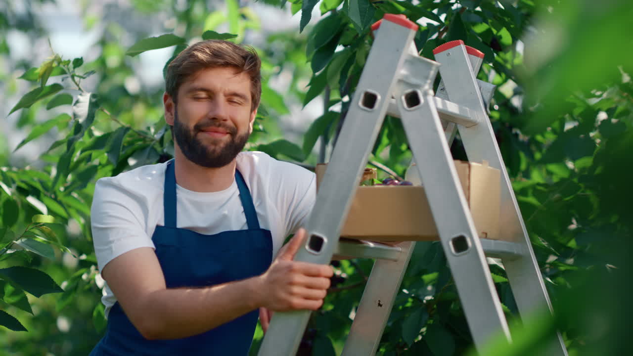 hombre granjero sonriendo caja de bayas disfrutando del trabajo en la plantación en un día cálido y soleado