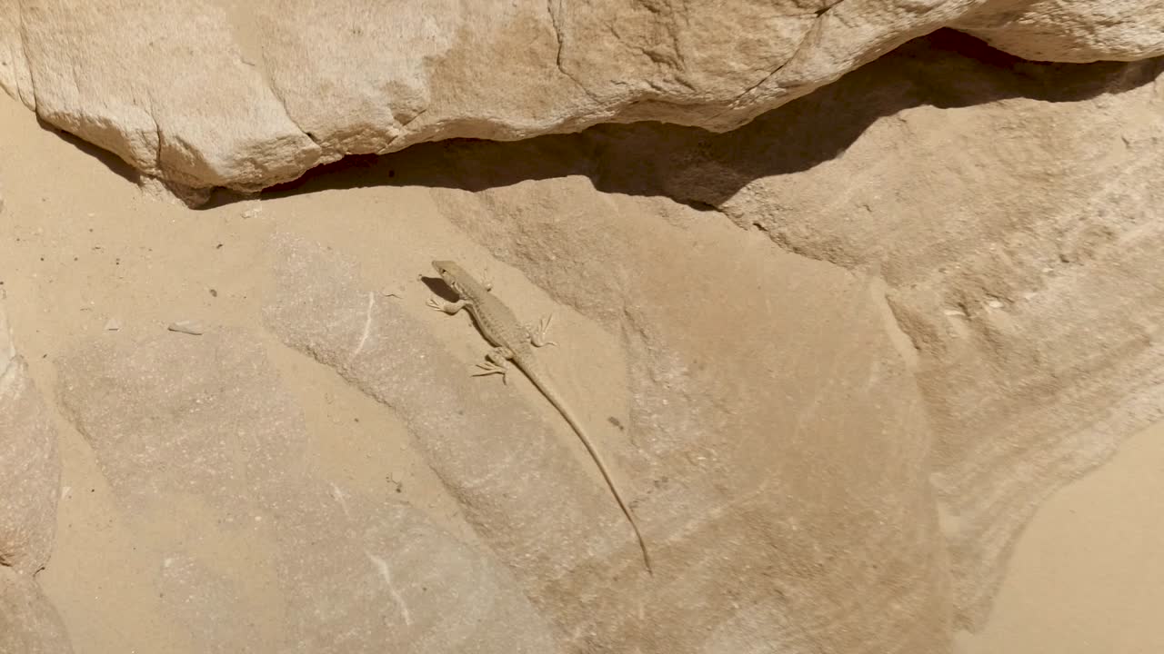 이집트의 아름다운 협곡을 운전하고 탐험하는 다합의 유색 협곡