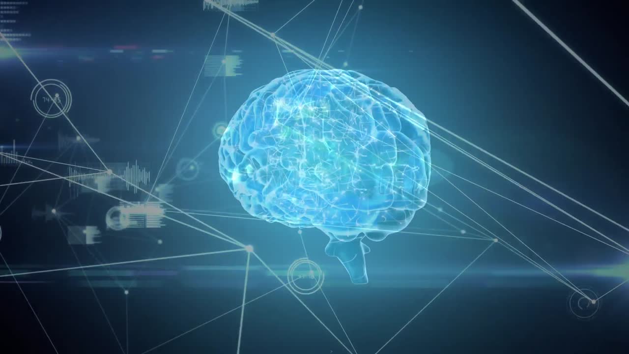 그래프의 네트워크를 가진 디지털 뇌