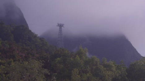 Statische-Aufnahme-Eines-Hochspannungsturms-Im-Wald-Aus-Niedrigem-Winkel