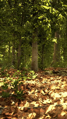 un bosque con árboles y hojas verdes en el suelo