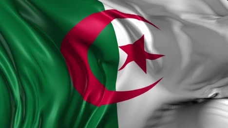 algerian flag