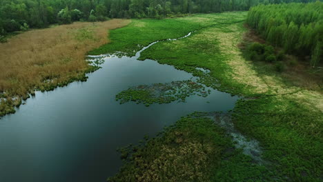 view of the marsh area from the above