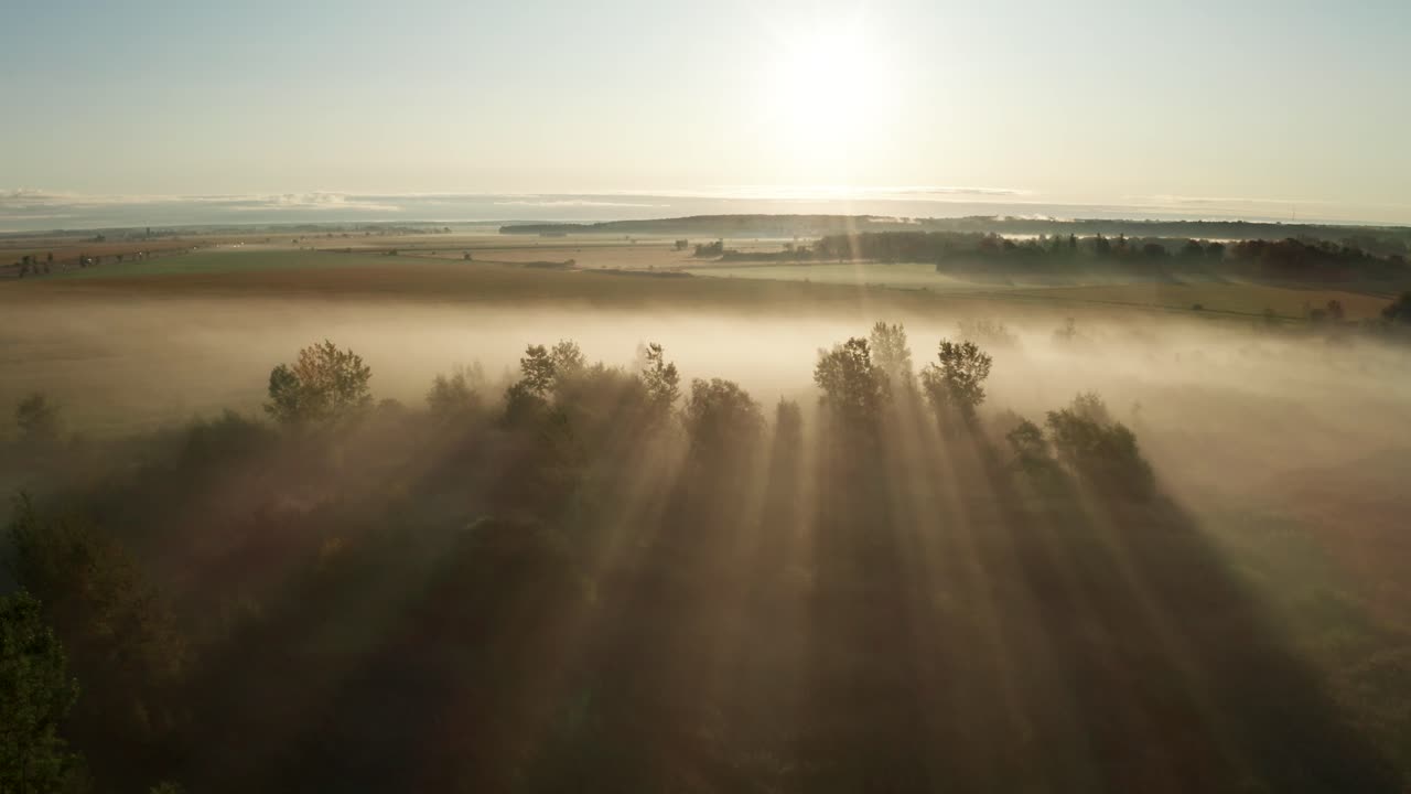 아침 햇빛은 안개와 안개를 통해 황금빛 광선을 비추고 농경지와 삼림 지대에 낮게 걸려 있습니다.