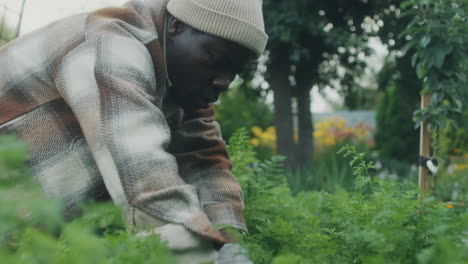 a man gardening outdoors, tending to plants in a field
