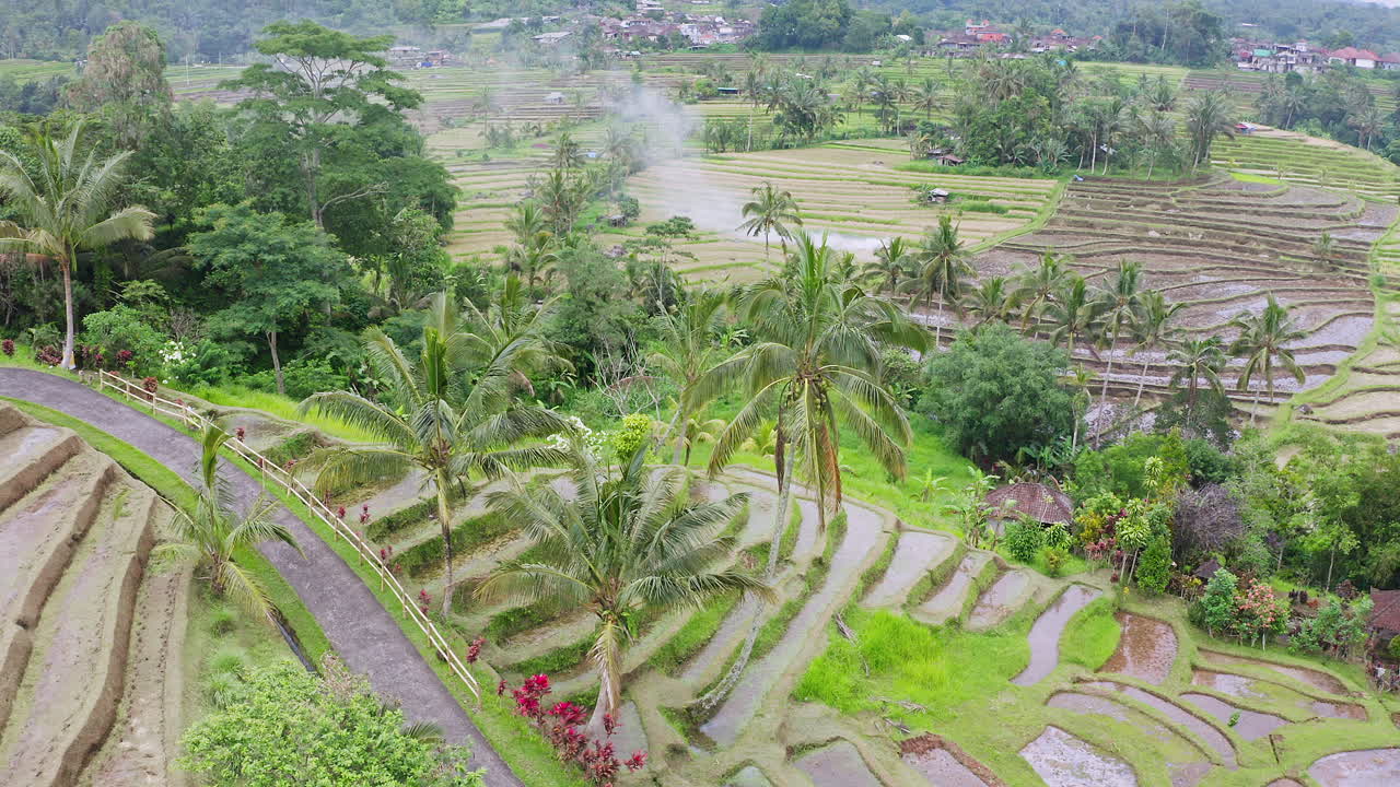 Aerial Rising Shot of Famous Rice Terrace in Bali, Indonesia. 4K Drone