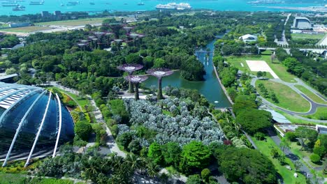 Vista-Aérea-Del-Paisaje-De-Drones-De-Los-Jardines-Junto-A-La-Bahía-Parque-Natural-árboles-Flor-Cúpula-Plantas-Río-Singapur-Ciudad-Asia-Viajes-Turismo-Arquitectura