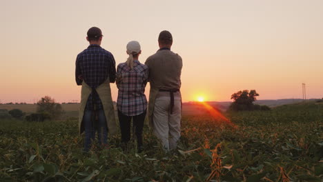 Family-Of-Farmers-Watching-The-Sunset-In-The-Field-Rear-View