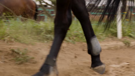 jockey riding and galloping on black horse