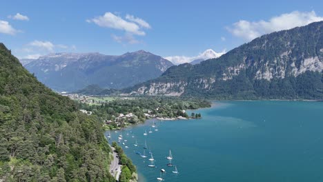 lake thun turquoise water interlaken jungfrau region switzerland ascending drone,aerial