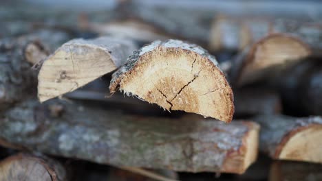 stacked firewood