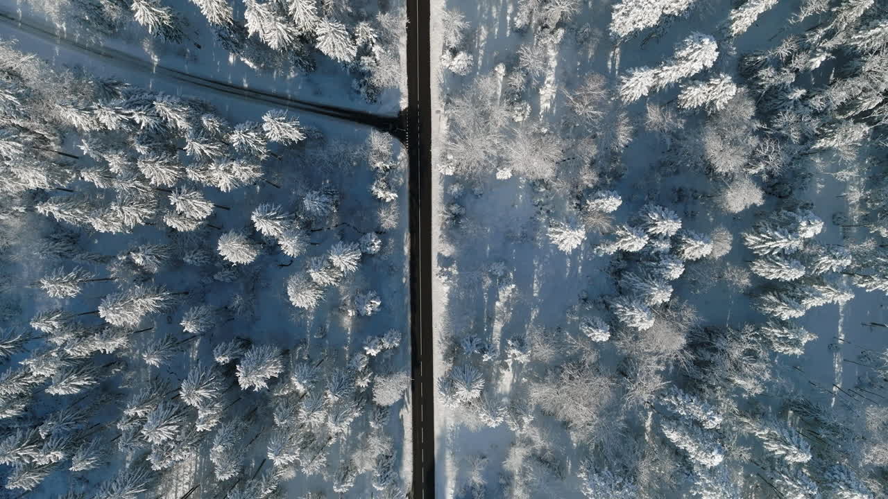 Bird's Eye View Of Snow-Covered Forest Over Jorat Woods Near Lausanne, Canton of Vaud, Switzerland