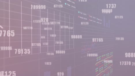 Animación-De-Números-Cambiantes-Sobre-El-Procesamiento-De-Datos-Estadísticos-Y-Bursátiles-Sobre-Fondo-Morado