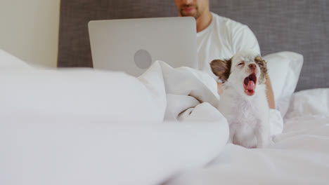 Young-man-sitting-on-bed-with-his-pet-using-his-laptop-4K-4k