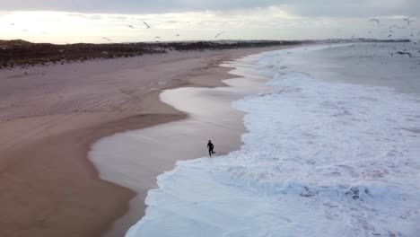 Surfer-with-Surfboard-on-Peniche-Beach-at-Sunset,-Cinematic-Aerial-with-Birds