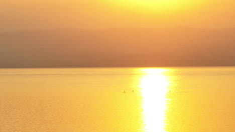 friends paddleboard in the sea during sunrise in front of mountains and hills in israel, the sea of galilee