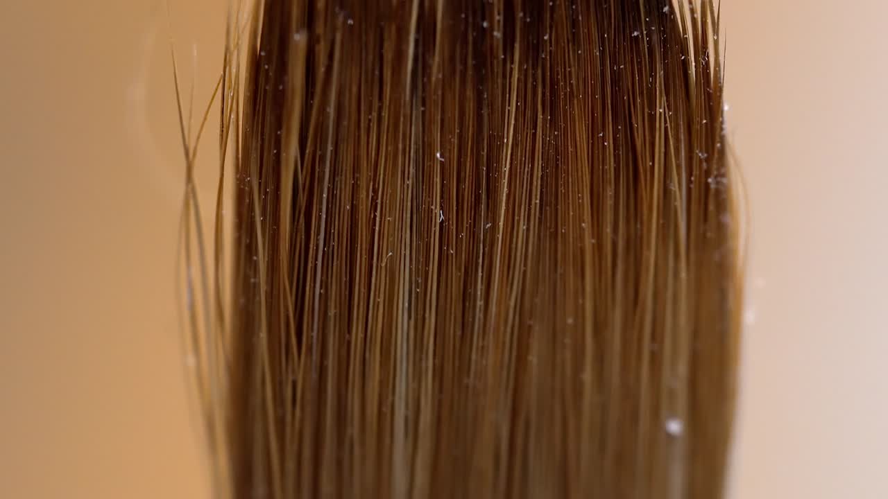 pan hacia arriba a lo largo del pincel de pintura de bronce con pelos finos, fondo borroso