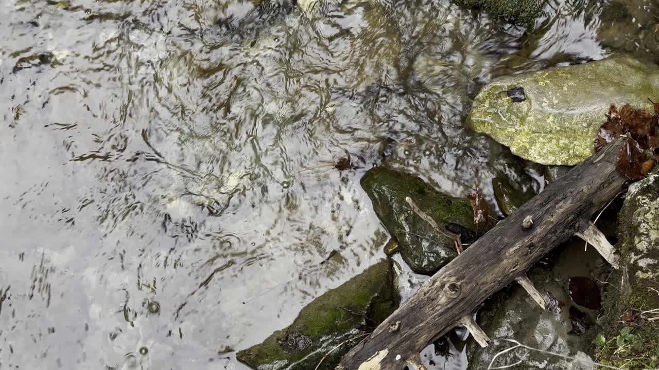 돌 들 이 흐르는 하천 의 클로즈업