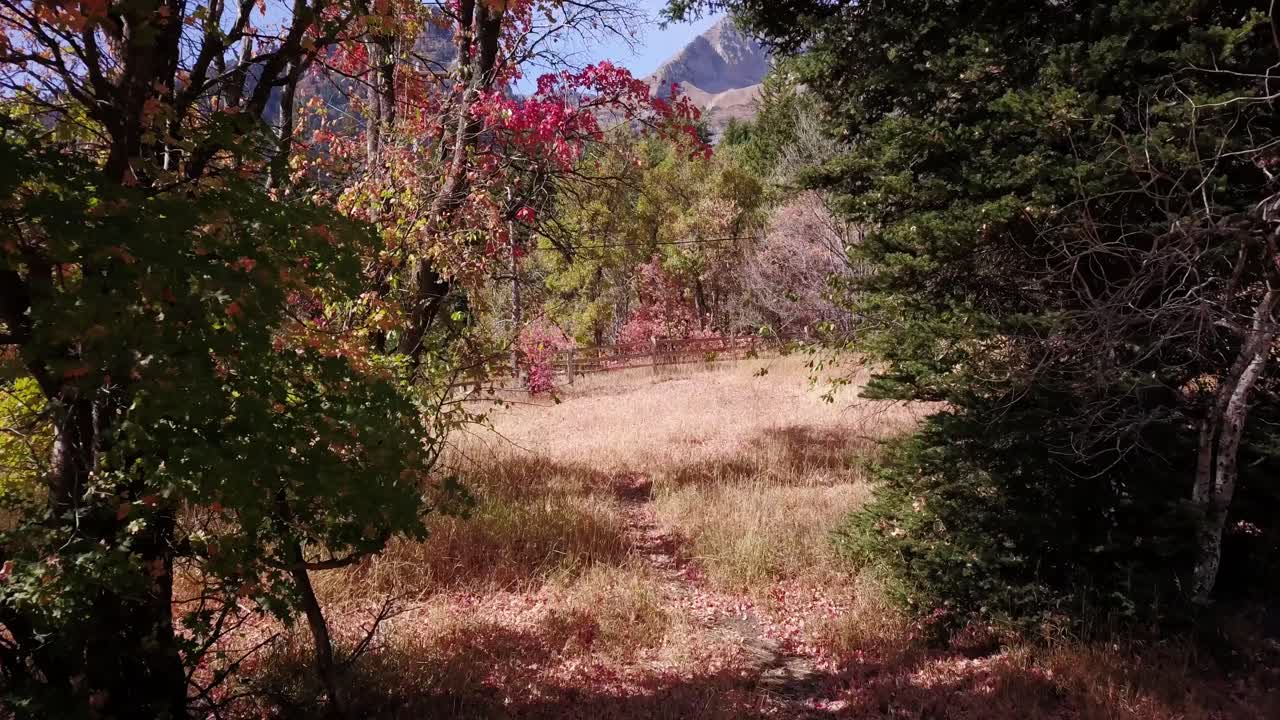 pasando por árboles de otoño en utah cerca de la soledad