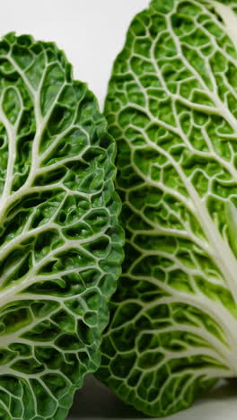 close-up of bok choy leaves